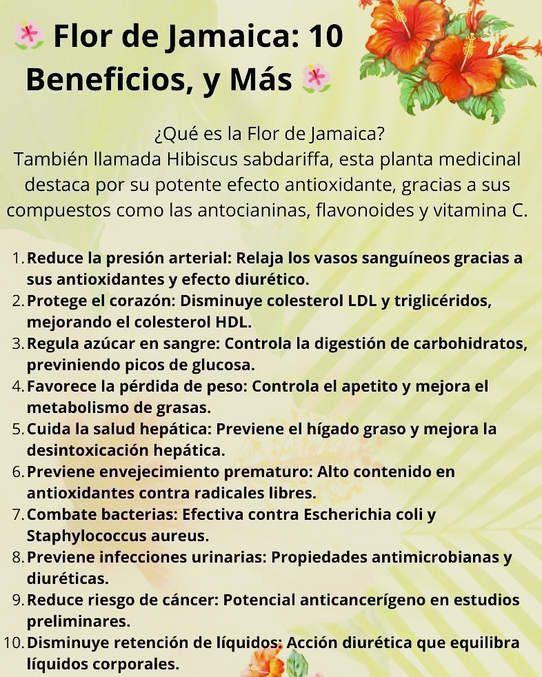 Infusión Detox Flor de Jamaica Premium (Hibiscus) 250g